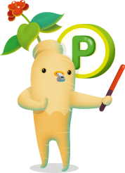 주차 캐릭터 이미지