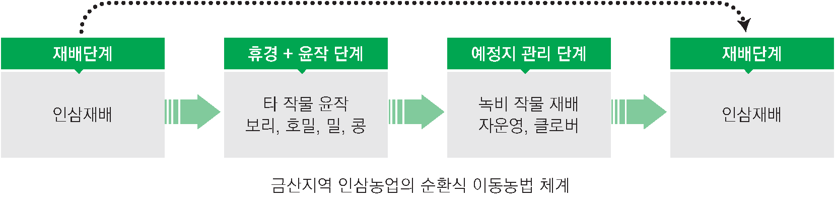 
														금산지역 인삼농업의 순환식 이동농법 체계를 나타내는 순서도 다이어그램.
														1. 재배단계: 인삼재배
														2. 휴경 + 윤작 단계: 타 작물 윤작 (보리, 호밀, 밀, 콩)
														3. 예정지 관리 단계: 녹비 작물 재배 (지황, 클로버)
														4. 재배단계: 인삼재배