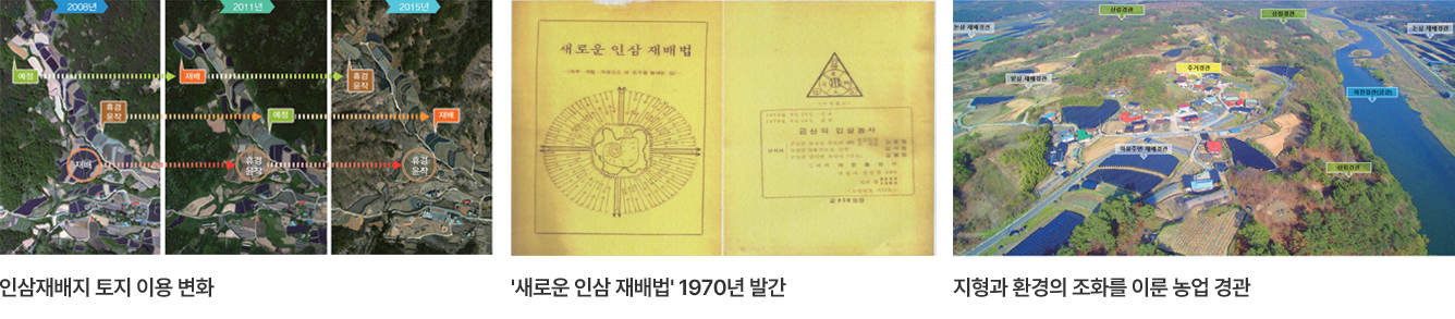 인삼재배지 토지 이용 변화, 새로운 인삼 재배법 1970년 발간, 지형과 환경의 조화를 이룬 농업 경관
